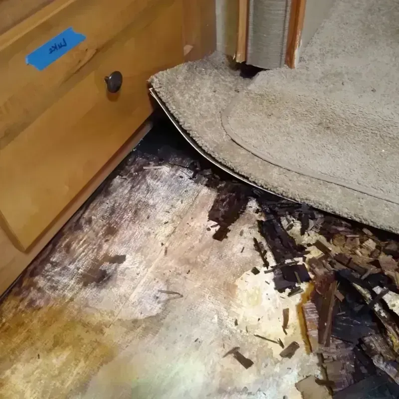 Best Wood Floor Water Damage Service in Bentleyville, PA